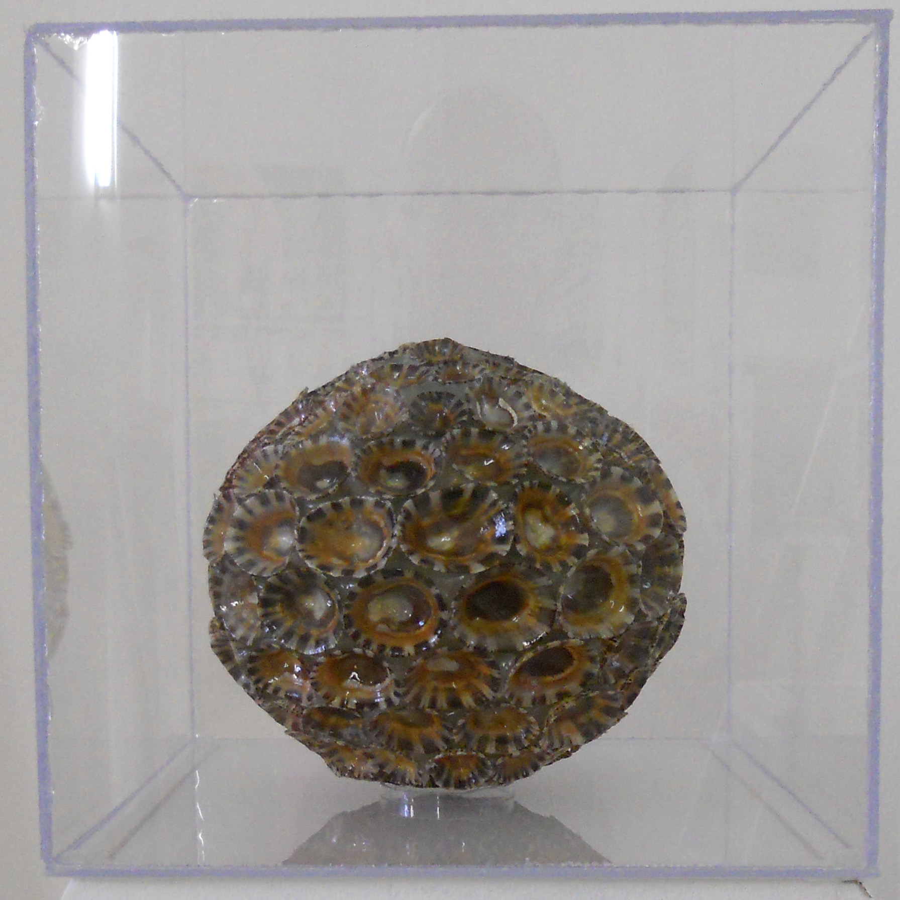 MW 17 (Hohe Aufl&ouml;sung)